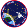STS 99 Mission Patch RoyalSatanas photo