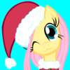 Merry Christmas from fluttershy  Colonelpenguin photo