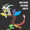 Haters gonna hate  Colonelpenguin photo