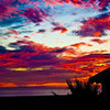 Sunset at the Montage Resort DannyAndLayla20 photo
