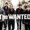 i love the wanted hamsteret photo