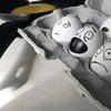 Poor Eggs... Albina21 photo