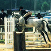 me jumping on my brand new mare Tammy Emmy808 photo