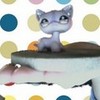 my lps starlight ^_^ lps-lover photo