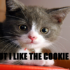 But i like the cookie :( jnrm photo