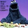 WHAT THE HELL?! i eat cookies brah!!!!!!!!!!!!!!!!!! kiaraflower photo