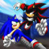 sonic and shadow fighting  peytpeyt022019 photo