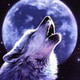 werewolf40407's photo
