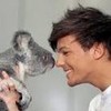 Koalas!!!!<3 Lol Louislover20 photo