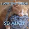 love my thread KittyKat0008 photo