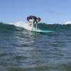 Mitten Surfing In Hawaii jnrm photo