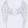 wings4 AngelOfAnime13 photo