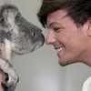 i think i just began o love koalas even more... robocat9 photo