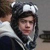 Look Harry has a kitty on his head! Louislover20 photo