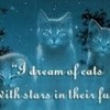 I dream of cats with stars in their fur... chole785chole78 photo