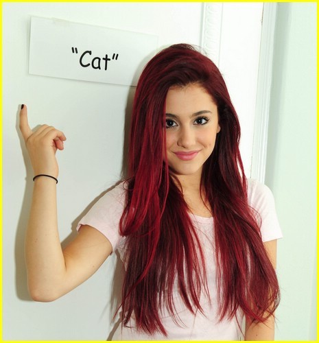 red hair or brown hair? - Ariana Grande Answers - Fanpop