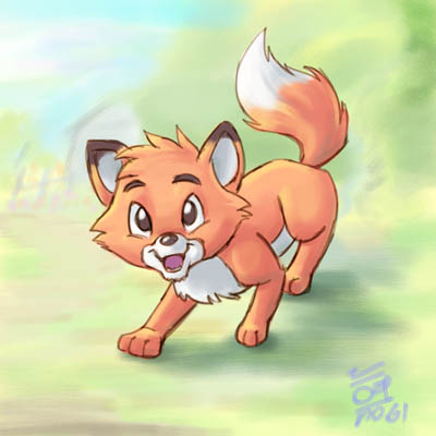  Cute zorro, fox