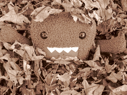  Domo's first leaf pile