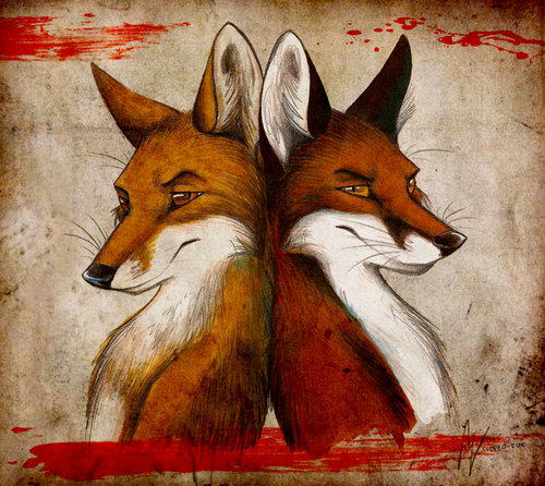 Foxes :)