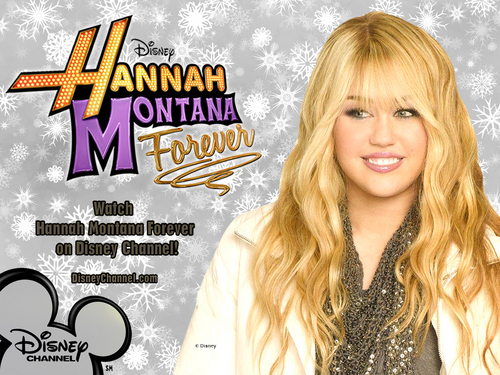  Hannah Montana (Season 4)