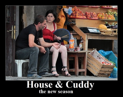  House/Cuddy-Motivational XD