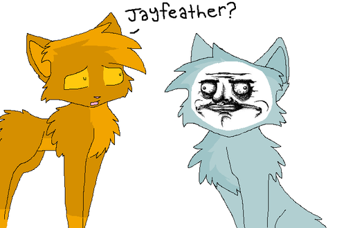  Jayfeather's Mood Face
