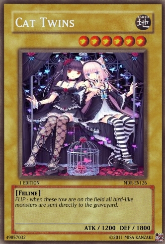 My YU-GI-OH CARDS