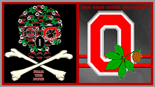  THE OSU FEAR THE NUTS