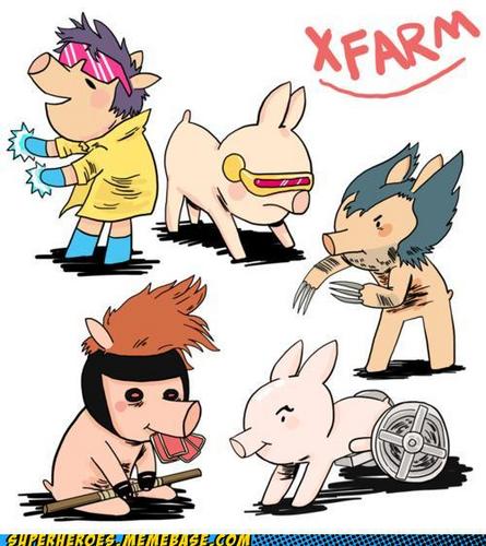  X-Pigs