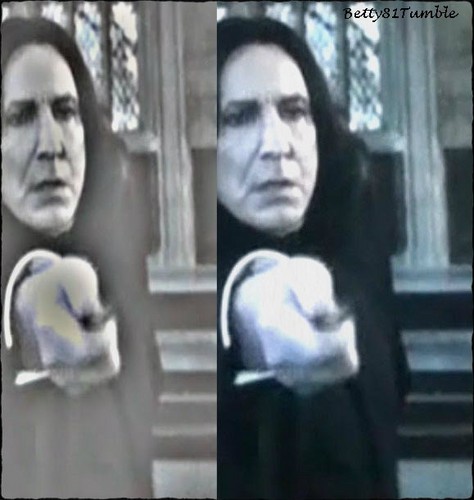  severus always by your side