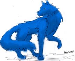  Blue بھیڑیا