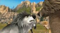  Cando fighting with eastern loups