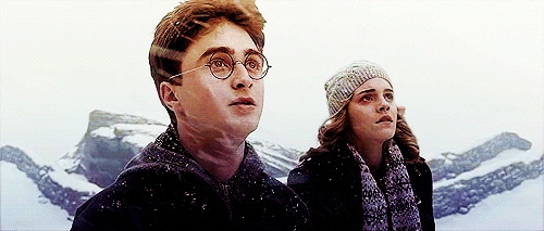  Harry & Hermione