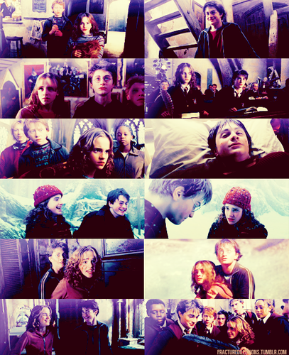  Harry and Hermoine