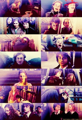  Harry and Hermoine