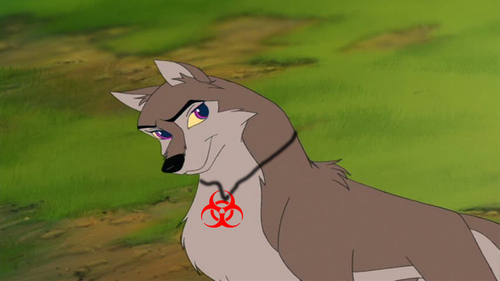  If Katie was in Balto