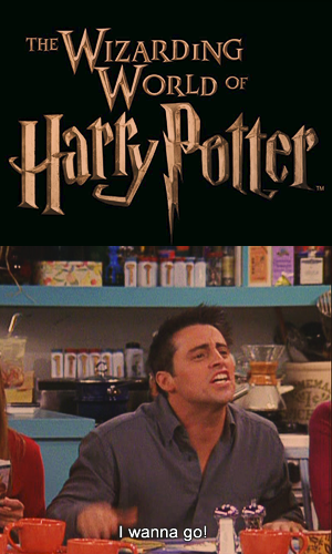  Joey "Harry Potter"