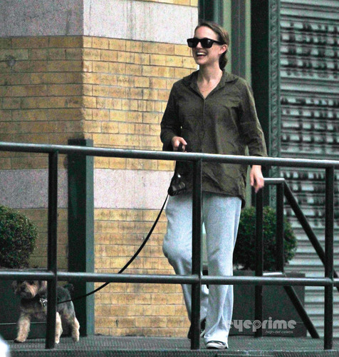  Natalie Portman spotted walking her Dog in NY, Aug 18