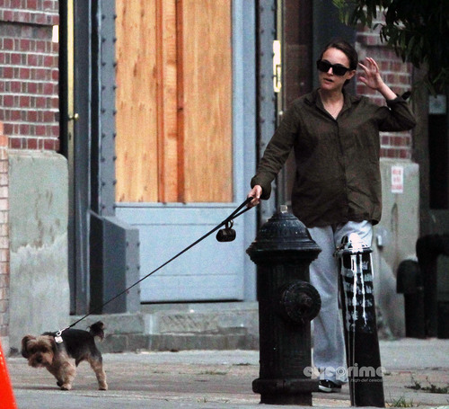  Natalie Portman spotted walking her Dog in NY, Aug 18