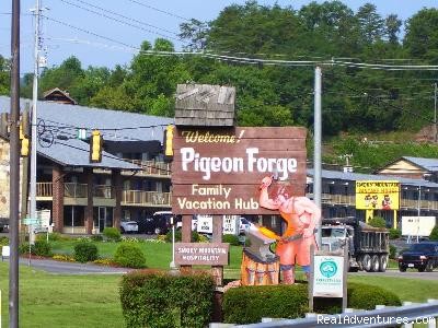  Pigeon Forge, TN