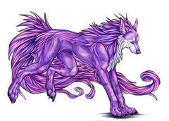  Purple 狼, オオカミ