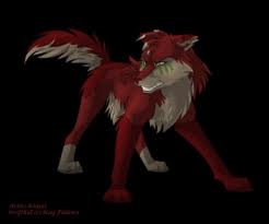  Red loup