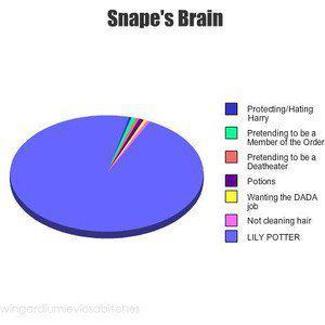  Snape's brain