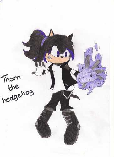  Thorn The Hedgehog