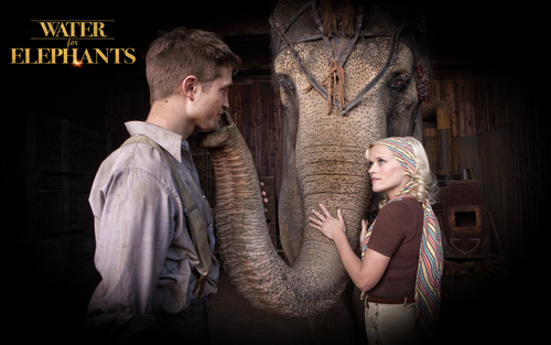  Water for Elephants achtergrond