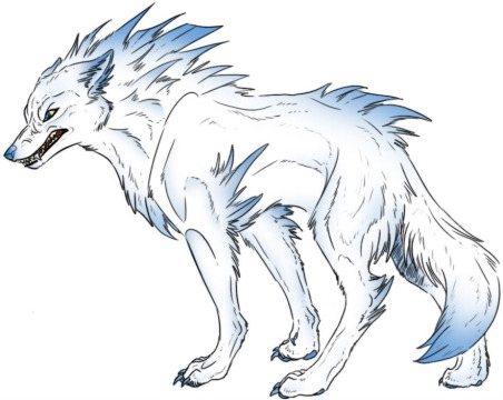  serigala, wolf Drawings