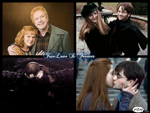  harry Potter couples