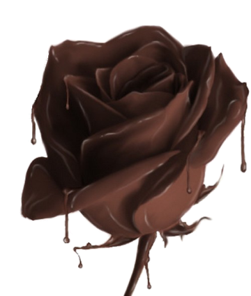 sweeet chocolate rose