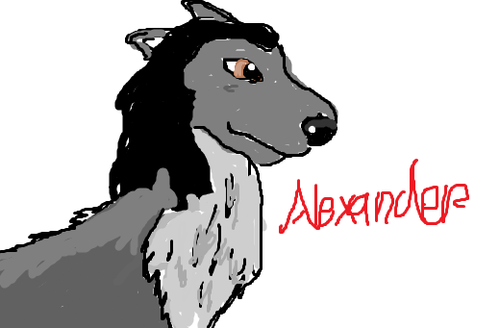  ALEXANDER