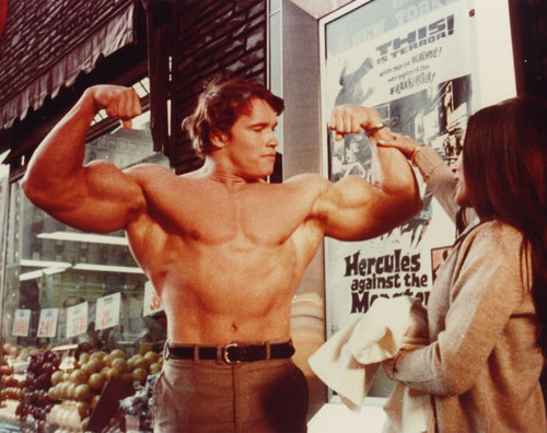  Hercules in NY